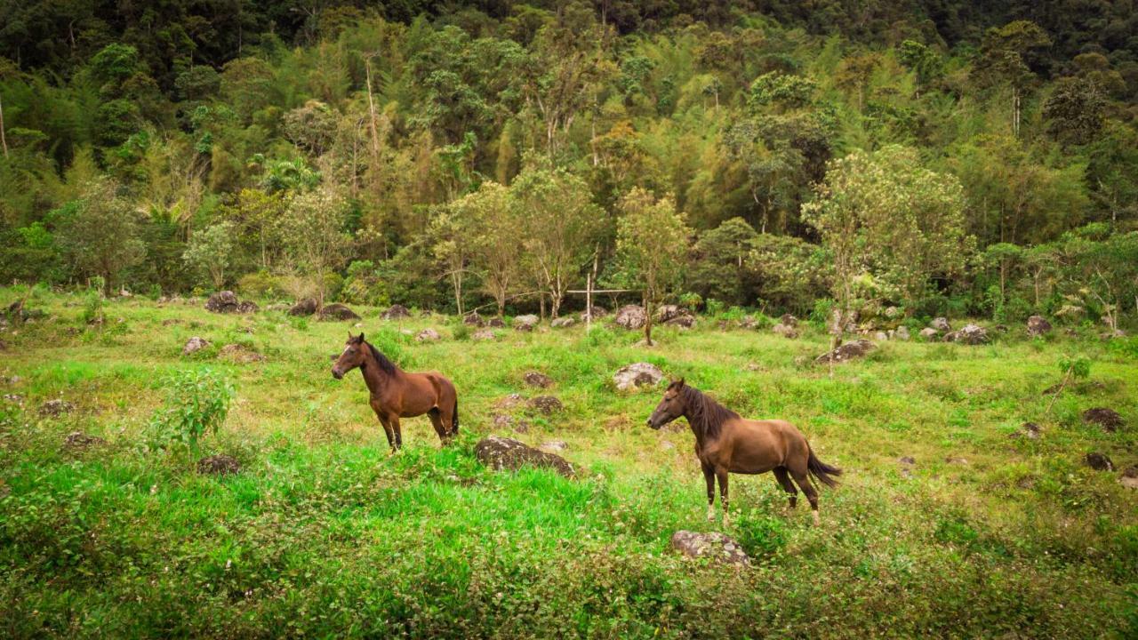 Sacha Urco Lodge Y Bosque Protector Mindo Exteriör bild